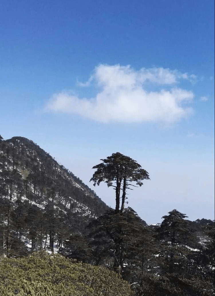 皇冠登一登二登三区别_大理三月登苍山