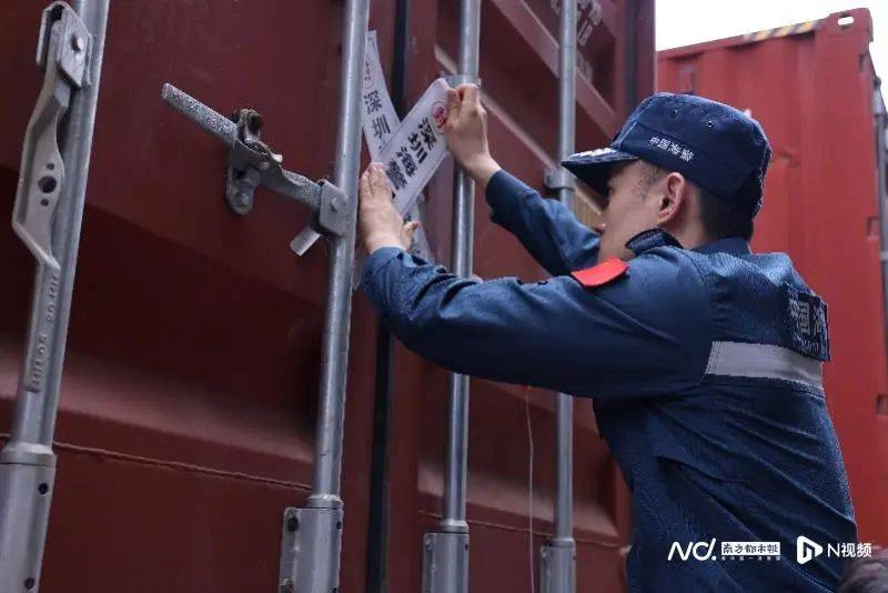 皇冠信用网足球代理_焚烧牛肚、猪肚等皇冠信用网足球代理，约1200吨！深圳海警局集中处置