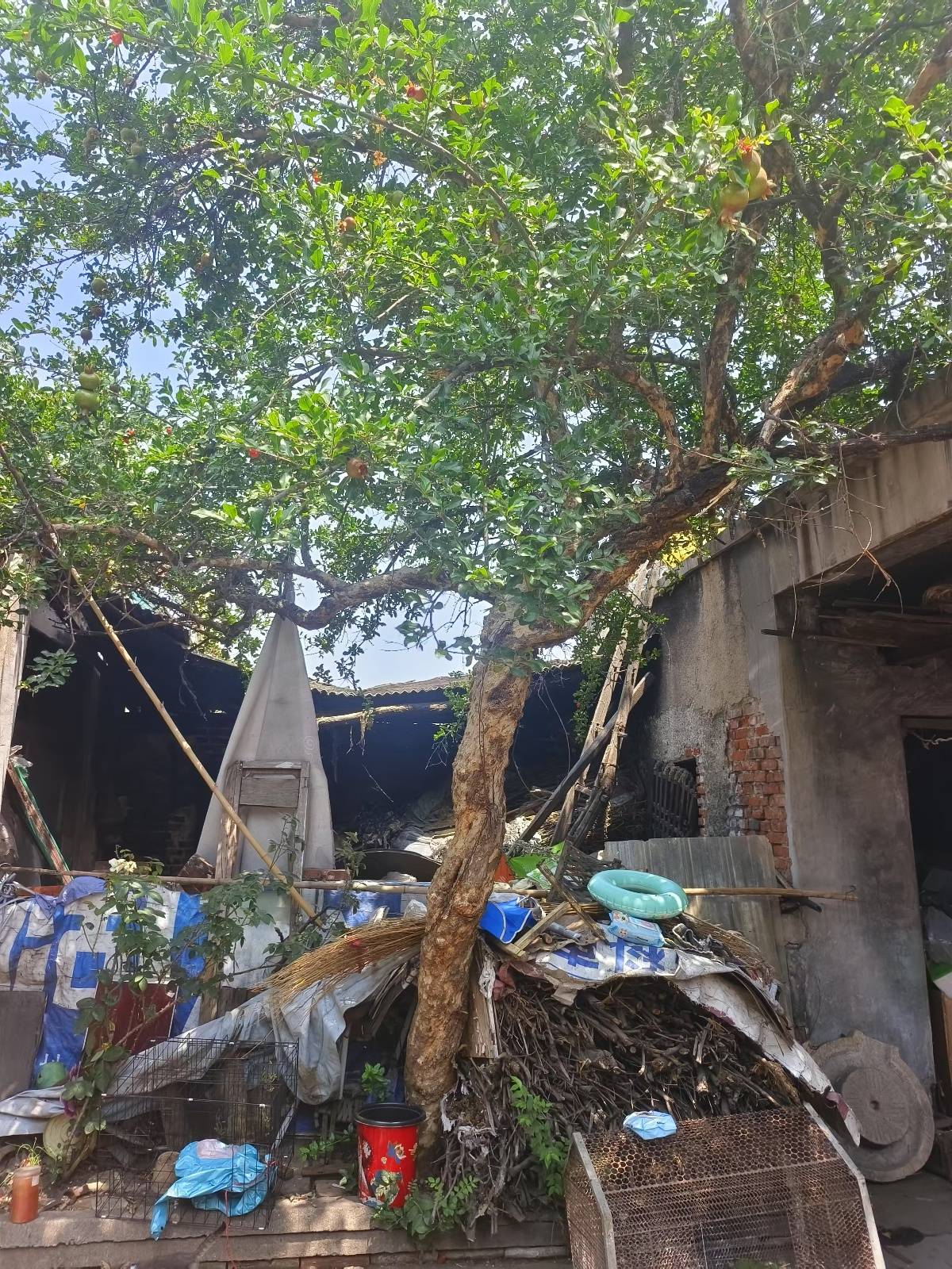 皇冠信用网代理流程_女子回应求交房视频被指“擦边”：什么样的人就会有什么眼光