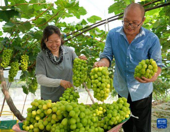 皇冠信用开户
_立秋农事正当忙