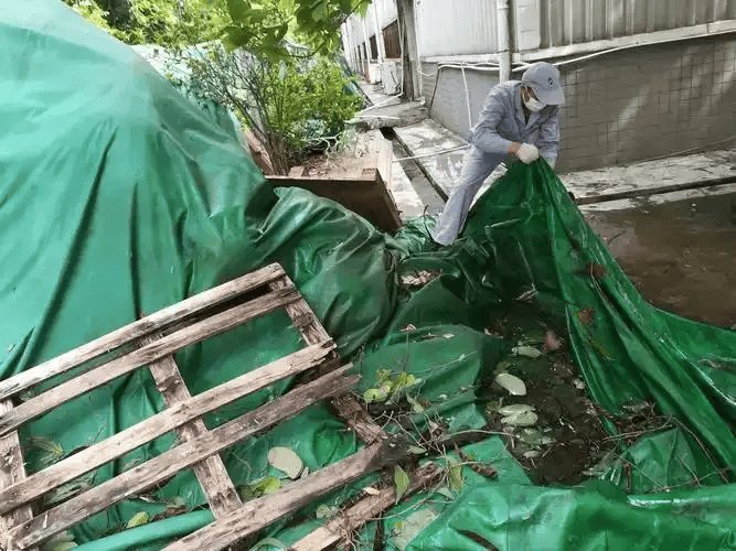 皇冠信用网账号注册
_家里的这几个地方皇冠信用网账号注册
,正悄悄“养”出花斑蚊!快自查→