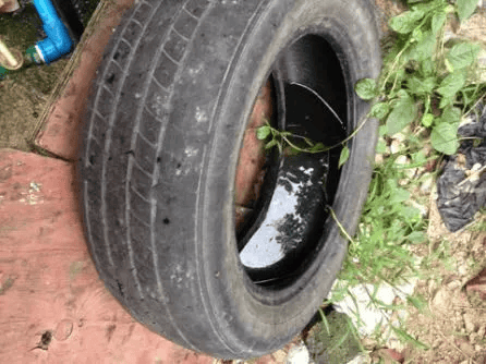 皇冠信用网账号注册
_家里的这几个地方皇冠信用网账号注册
,正悄悄“养”出花斑蚊!快自查→