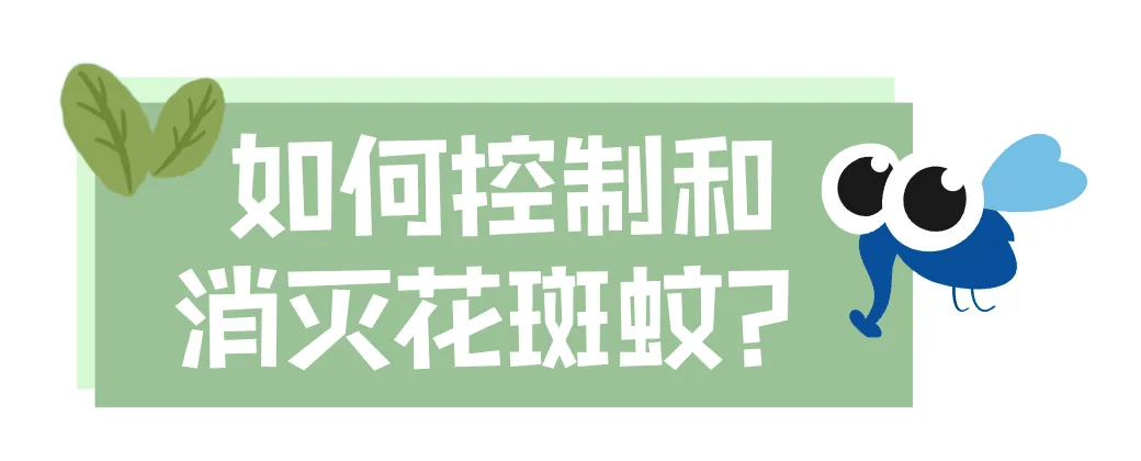 皇冠信用网账号注册
_家里的这几个地方皇冠信用网账号注册
,正悄悄“养”出花斑蚊!快自查→