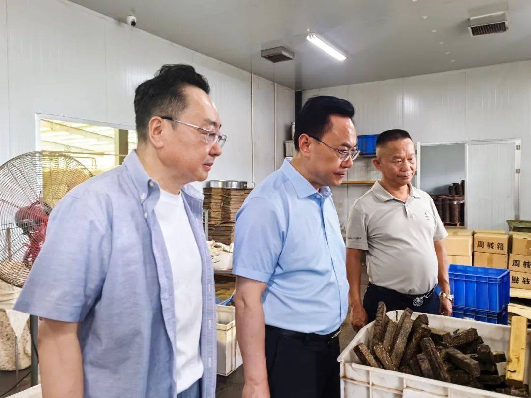 皇冠信用網登2_中国工程院院士刘仲华调研理想华莱皇冠信用網登2，共谋黑茶产业高质量发展新篇章