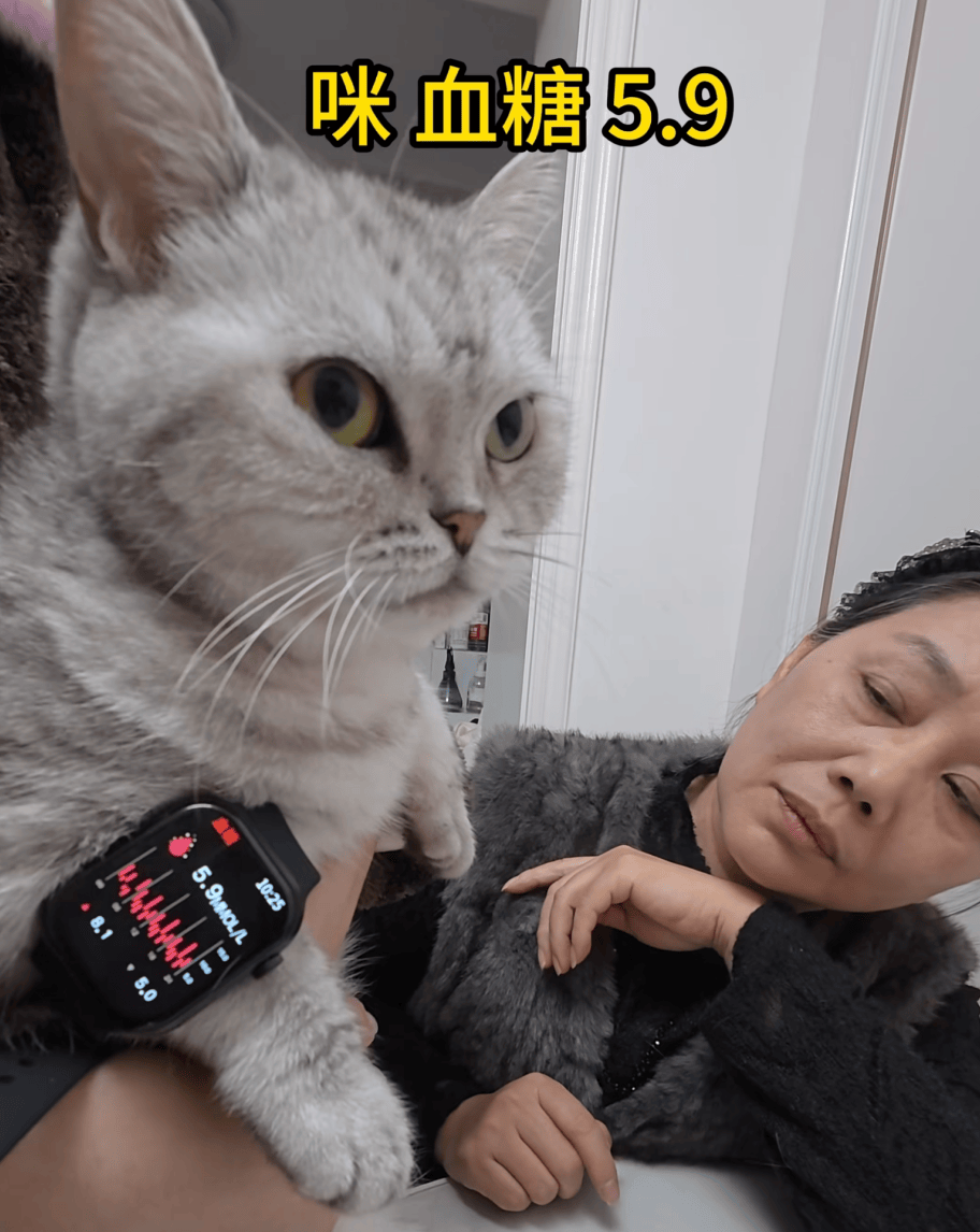 皇冠如何代理_父母花84元网购“神奇手表”皇冠如何代理,儿子发现能测万物:猫咪血糖5.9,吸尘器血糖7.4,父母:下次不买了