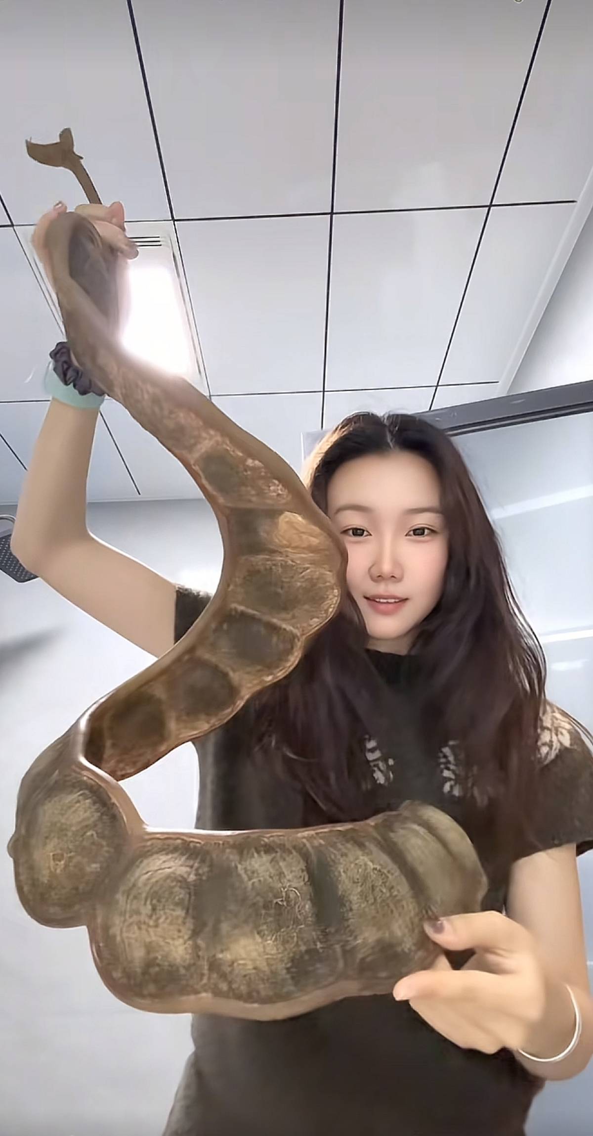 足球信用网平台 _女子带1米长巨大豆荚坐飞机回东北引围观足球信用网平台 ,本人称已跨越4000公里落地,机场客服:可随身携带