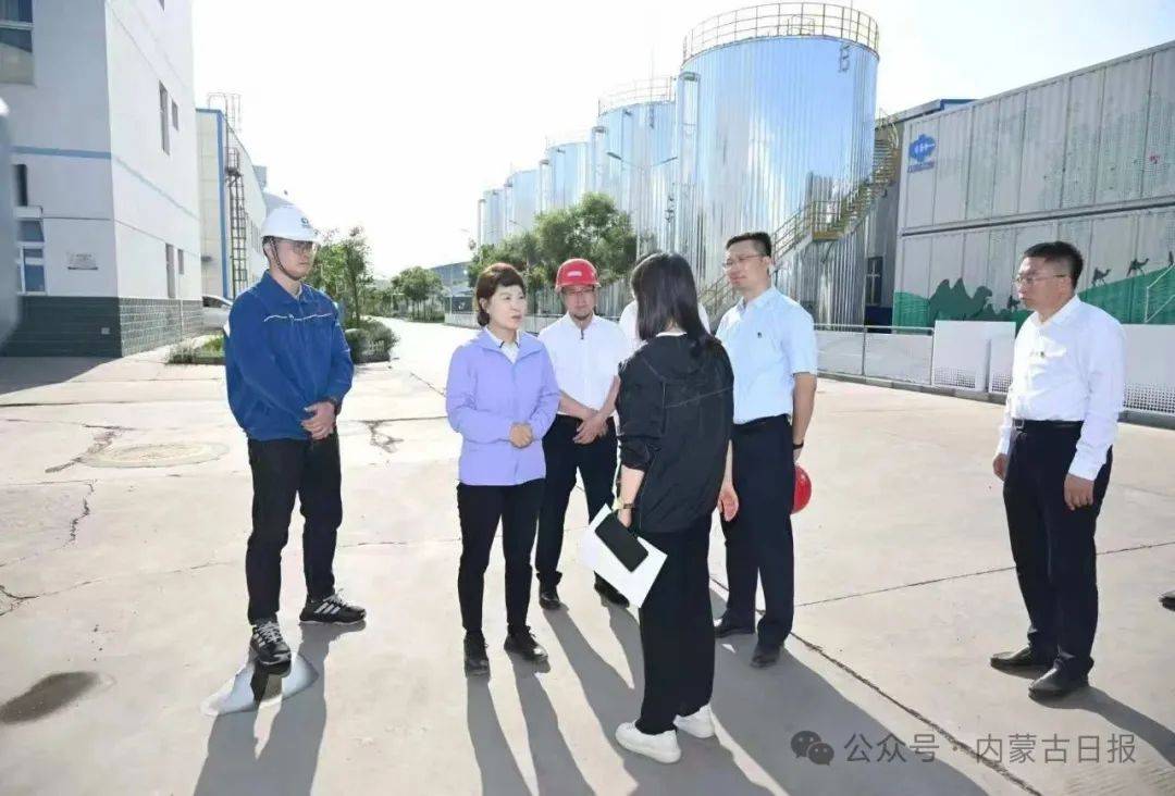 皇冠信用网怎么开户_王莉霞在鄂尔多斯督导中央巡视及中央生态环保督察移交信访件办理工作