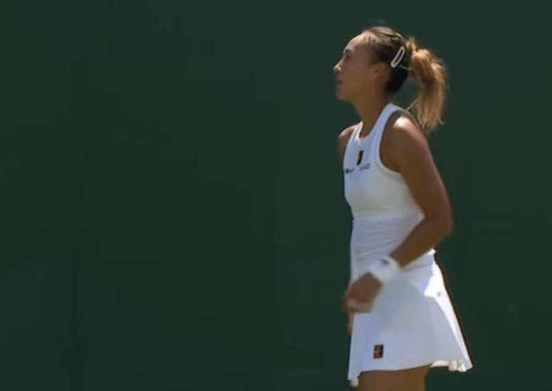 大连英博vs浙江_温网即时战况：西尼亚科娃拿到两个局点大连英博vs浙江，最终以7-5先下一城