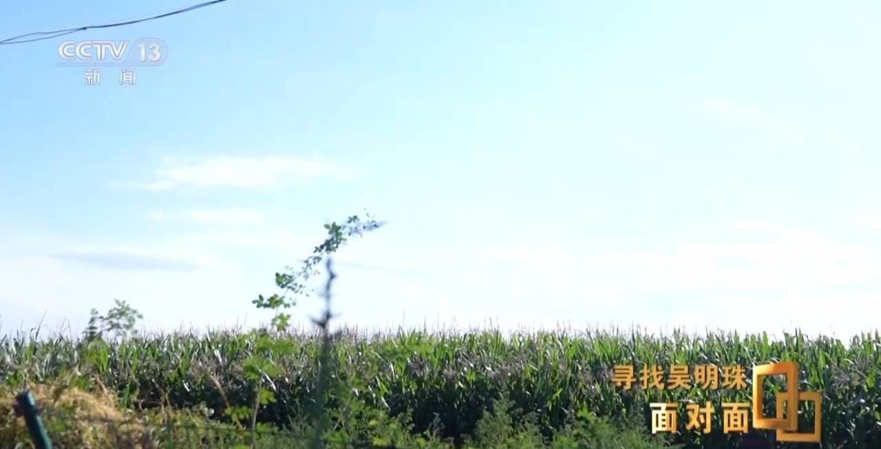 皇冠信用网出租足球_面对面丨中国人的吃瓜自由要感谢她皇冠信用网出租足球！吴明珠说她的一生就是结几个好瓜献给人民