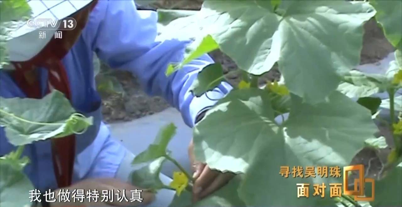 皇冠信用网出租足球_面对面丨中国人的吃瓜自由要感谢她皇冠信用网出租足球！吴明珠说她的一生就是结几个好瓜献给人民