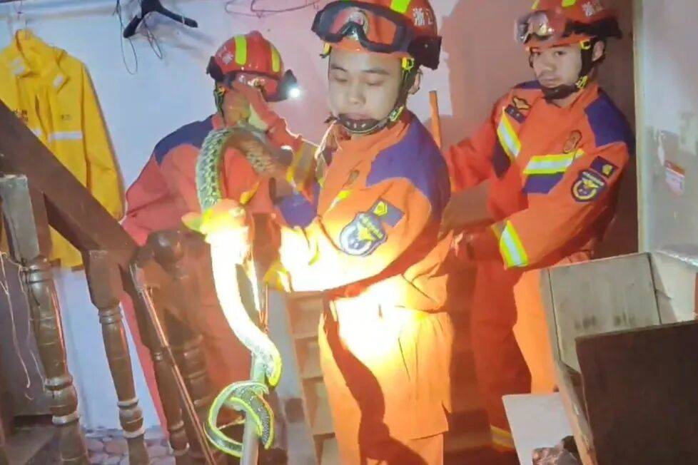 皇冠信用盘怎么代理
_宁波一男子出门上班皇冠信用盘怎么代理
,打开鞋柜竟发现一条大蛇,消防:是菜花蛇,已带到野外放生